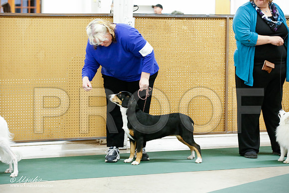 _JJ_4939-NrmnNov2014-HR3