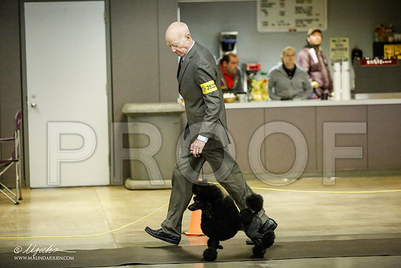 _JJ_5601-BeltonJan2015IABCA-HR3