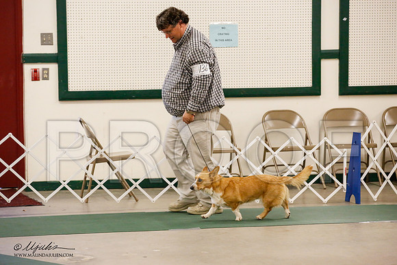 _JN_2012-NrmnNov2014-HR3