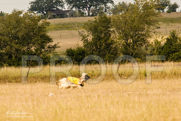 _MJ_5486-AfgBeltonOct2014-HR3