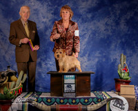 Norwich Terrier #5 Sun BOB Willrich Tonnie and Kristin Conlan Judge R Hartinger