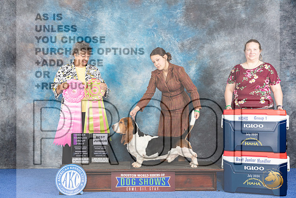 Basset Hound #J515 WED BJr NOHS G1 Judge Marilyn Pipes__JP_7240_Houston_2024_HR3