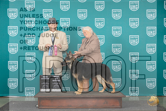 German Shepherd Dog #201 Wed BOWCH Judge Joseph Gudry__JP_0452_Premier_2024_HR3