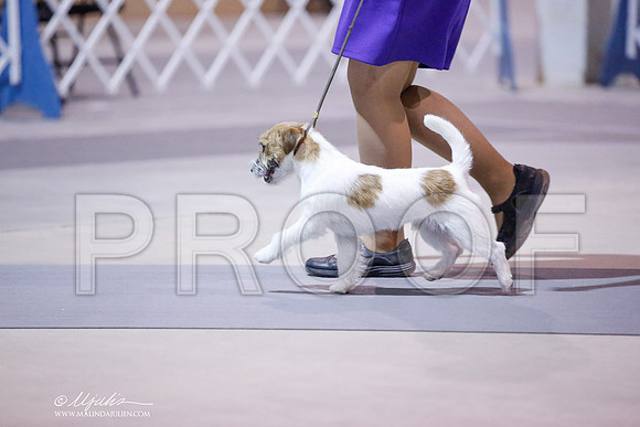 _JN_8915-SAJul2014-HR3