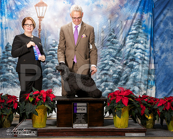 _ST_8043-DallasDec2014-HR3