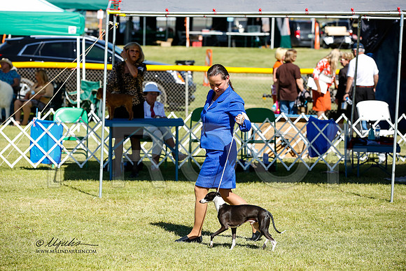 _JN_1176-AlamogordoOct2014-HR3