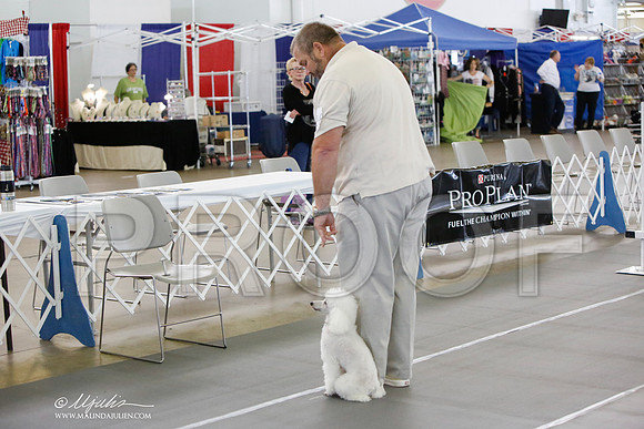 _JN_8010-DallasJul2014-HR3