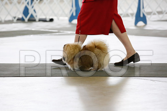 _CK_7289-DallasJul2014-HR3