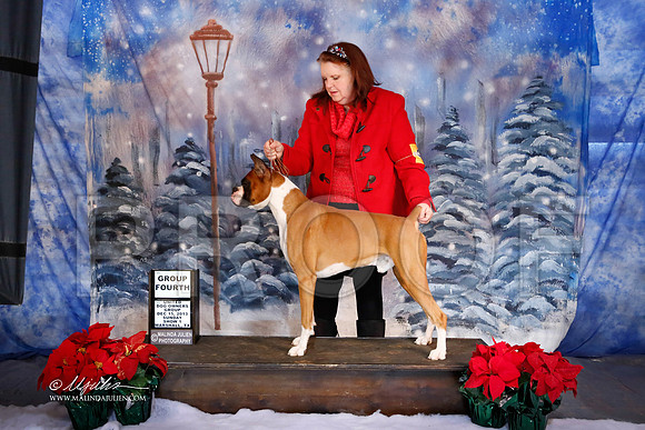 boxer-6396-MrshlDec13-HR