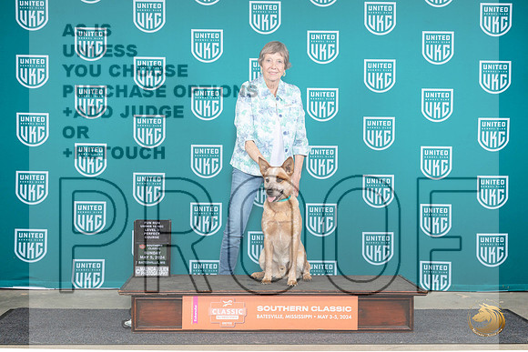 Australian Cattle Dog Sarah Anderson__JP_6732_BatesvilleMS_2024_HR3