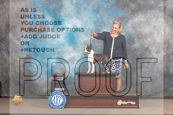 Boston Terrier #? Wed WD Judge Gloria Kerr_MJ_2940_Houston_2022_HR3