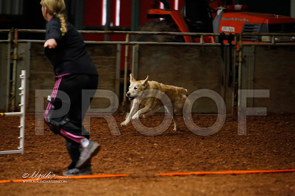 FastExc16-1038-WFOct13-HR