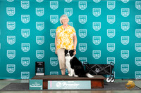 Border Collie #287 Thur NAS Judge Susan Knowles