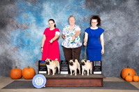 Pugs #5 #10 #12 Sun BOB BOS SB NGCH NGCH Judge Tim Catterson