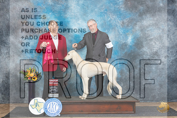 Saluki #21 Sun G2 Judge Dr Don Gill__JP_0021_Abilene_2024_HR3