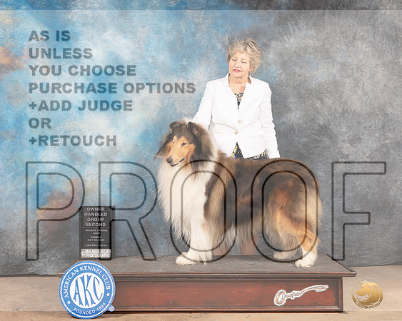 Collie Rough #7 Sun OHG2 Judge Pat Trotter-MMJ_5108-Abilene2022-HR3