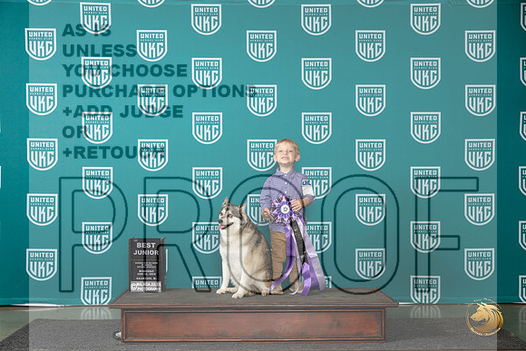 Alaskan Klee Kai #161 Wed BJr Judge Brenda Landers__JP_0407_Premier_2024_HR3