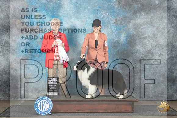 Border Collie #5 Sun G4 Judge Sharon Newcomb__JP_3993_Lubbock_2024_HR3