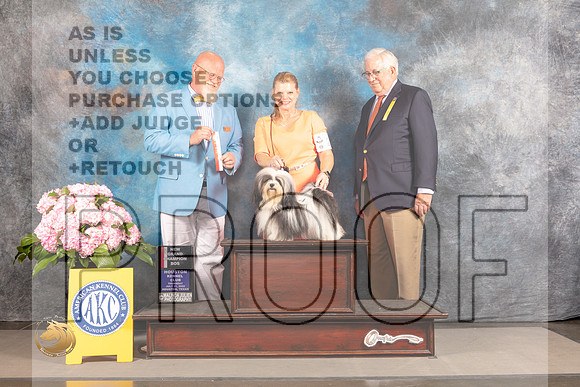 Havanese #8 Thur BOS Judge Jeff Bazell_MJ_4470_Houston_2022_HR3