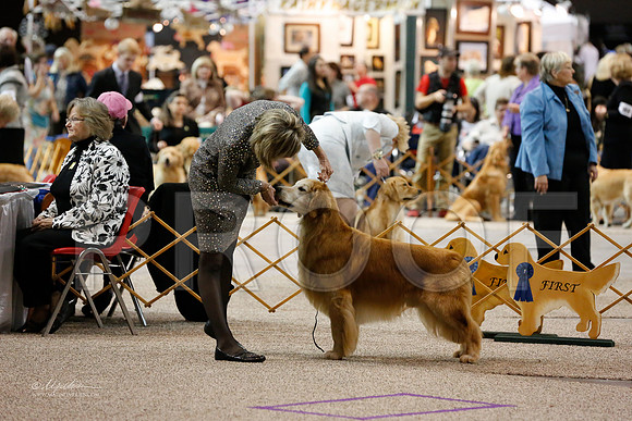 Vet10-12-0668-WFOct2013-HR