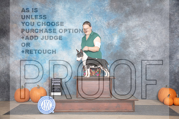 Miniature Bull Terrier #6 Sun G4 Judge Jan Paulk__JP_9531_Humble_2024_HR3
