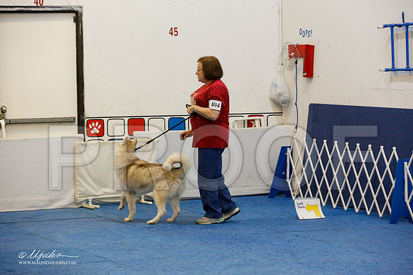 _M3_8075-AddisonHuskyMar2015-HR3