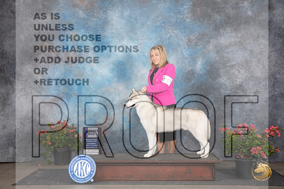 Siberian Husky #15 Fri WD Judge Wendy G Willhauck __JP_5305_San Antonio_2024_HR3