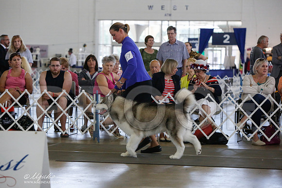 _JJ_1787-DallasJul2014-HR3