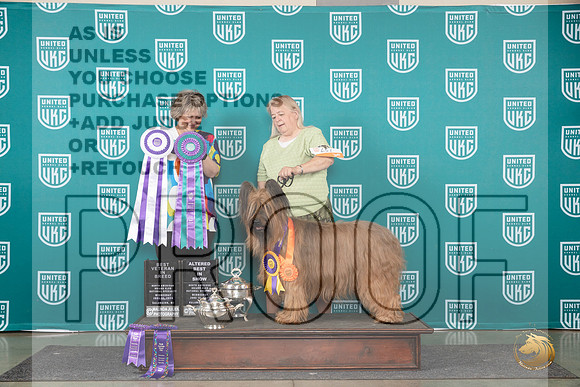 Briard #651 Wed BV Judge Jennifer Landers__JP_0484_Premier_2024_HR3