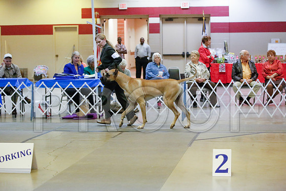 _JN_8453-AmarilloSept2014-HR3