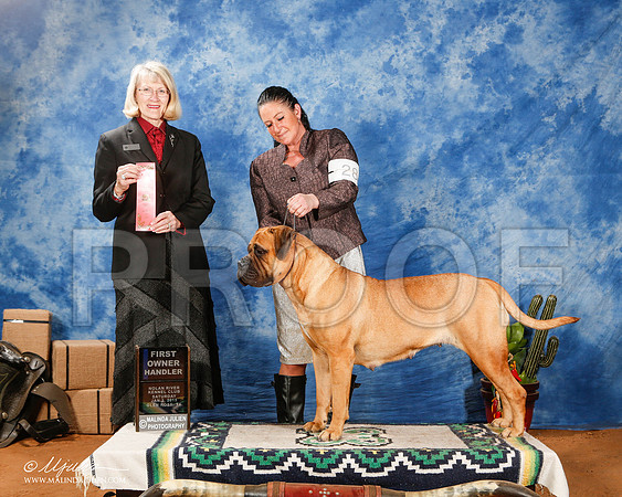 _ST_1143-2-GlenRoseJan2015-HR3