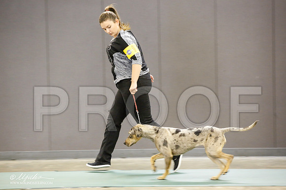 _JN_1402-BeltonJan2015-HR3