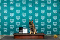 German Shepherd Dog #? Wed SpEx