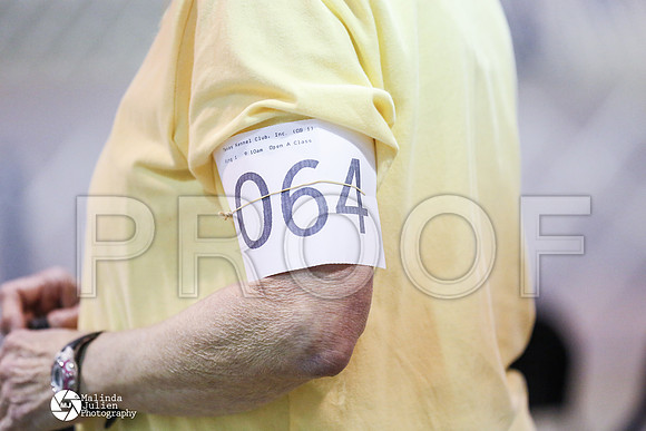 CCL_9902-MsqtApr14-HR3