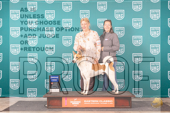 Canaan Dog #115 Sun G1 Judge Larry Hansen__JP_2306_UKCEastern_2024_HR3