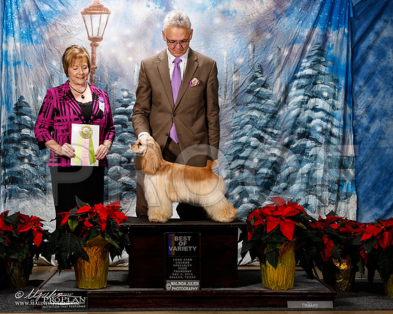 _ST_8061-2-DallasDec2014-HR3