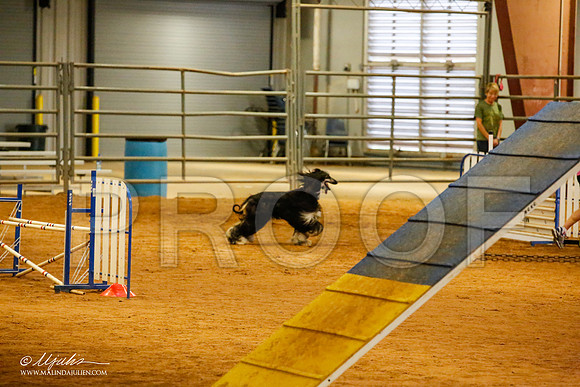 _JN_2945-AfgBeltonOct2014-HR3