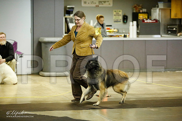 _JJ_6131-BeltonJan2015IABCA-HR3