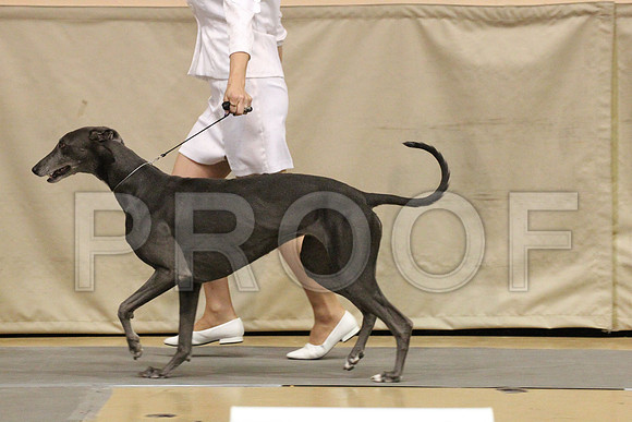 MJS_5364