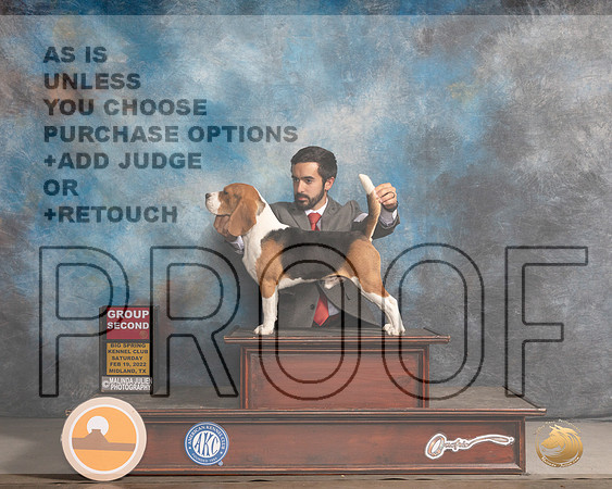 Beagle 15 #9 Sat G2 Judge Judy BrownMMJ_4768_Mdlnd2022_HR3