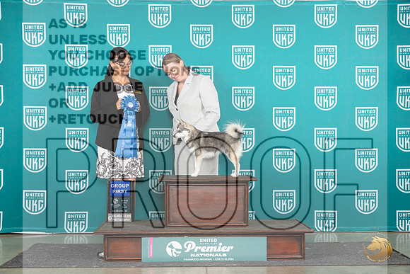 Alaskan Klee Kai #978 Fri G1 Judge Stephanie Mueller__JP_1923_Premier_2024_HR3