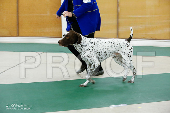 _JJ_4947-NrmnNov2014-HR3