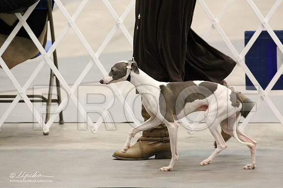 IMG_7621-Abilene2011-HR3