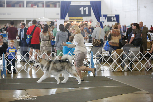 _JJ_8719-DallasJul2014-HR3