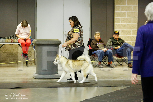 _RH_1923-BeltonJan2015IABCA-HR3