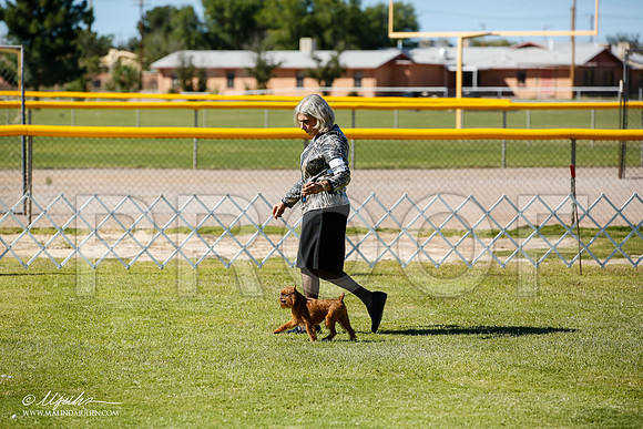 _JN_7290-AlamogordoOct2014-HR3