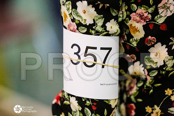 _RH_5969-BsrCtyJun2014-HR3