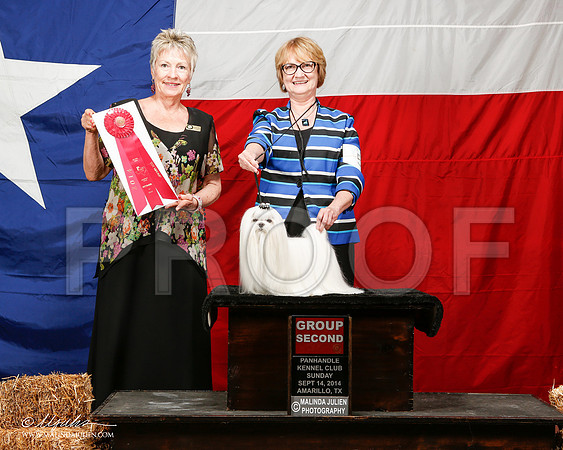 _ST_2042-2-AmarilloSep2014-HR3