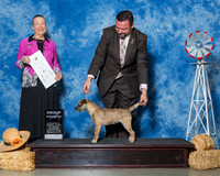 Border Terriers #10 Thrs G4 Smaldino Judi Sandra Gillen Mike Smaldino Agent Clint Livingston Judge Mrs Carolyn A Herbel