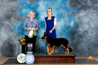 Bohemain Shepherd #6 Fri OBIS Judge Vicki Abbott